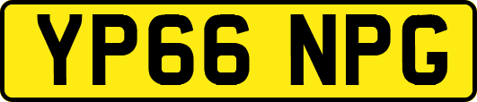YP66NPG