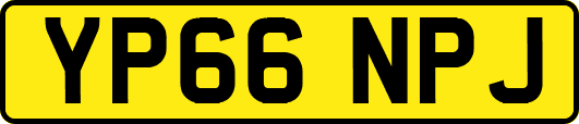 YP66NPJ