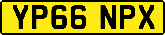 YP66NPX