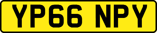 YP66NPY