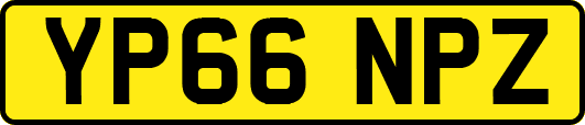 YP66NPZ