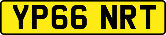 YP66NRT
