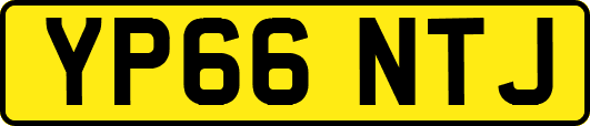 YP66NTJ
