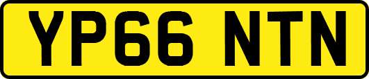 YP66NTN