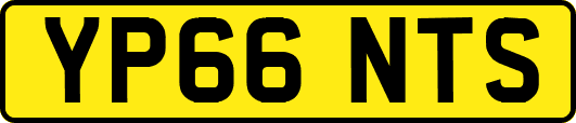 YP66NTS