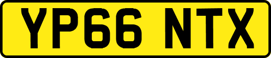 YP66NTX