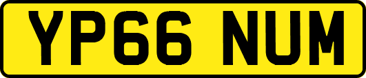 YP66NUM