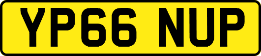 YP66NUP