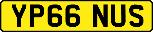 YP66NUS