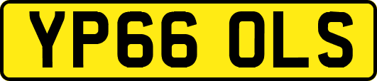 YP66OLS