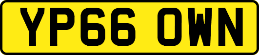 YP66OWN