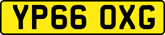 YP66OXG