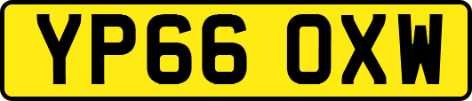 YP66OXW