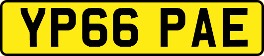 YP66PAE