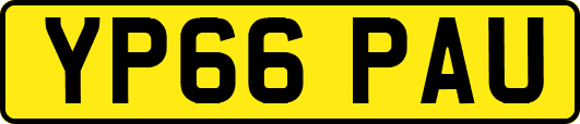 YP66PAU