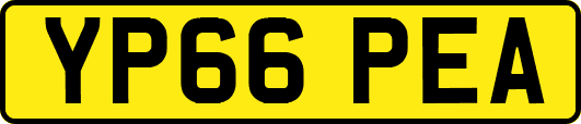 YP66PEA