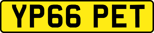 YP66PET