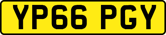 YP66PGY