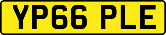YP66PLE