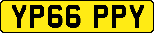 YP66PPY