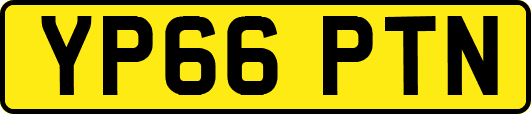 YP66PTN