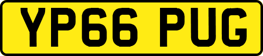 YP66PUG