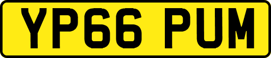 YP66PUM