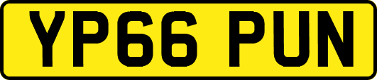 YP66PUN