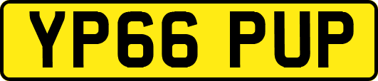 YP66PUP