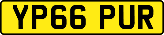 YP66PUR