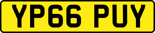 YP66PUY