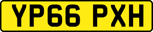 YP66PXH