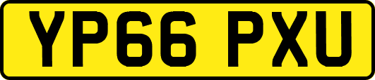 YP66PXU