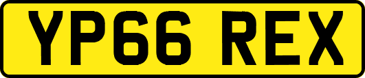 YP66REX