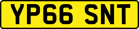 YP66SNT