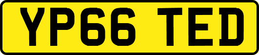 YP66TED