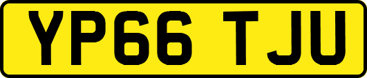 YP66TJU