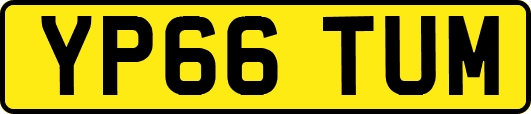 YP66TUM