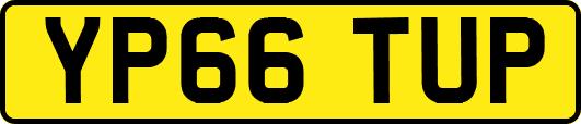YP66TUP