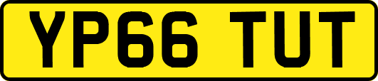 YP66TUT