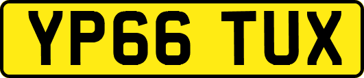 YP66TUX