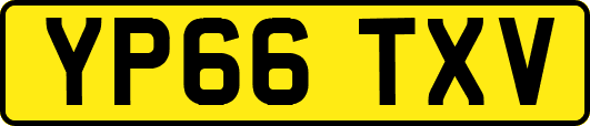 YP66TXV