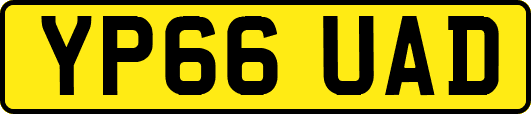 YP66UAD
