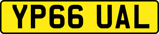 YP66UAL
