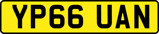 YP66UAN