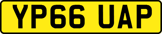 YP66UAP