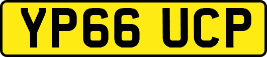 YP66UCP