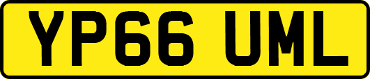 YP66UML