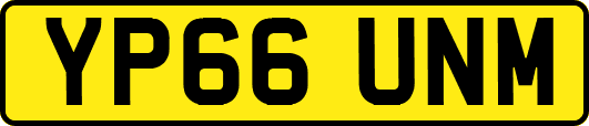 YP66UNM