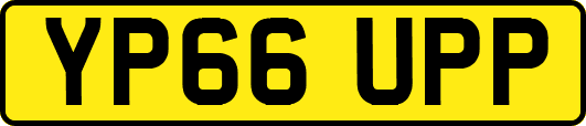 YP66UPP